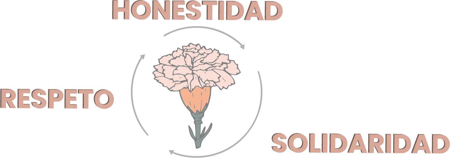 Imagen de Valores Flores El Zorro